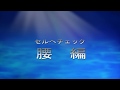 セルフチェック-腰