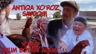 Antiqa xo'roz savdosi yohud shum bolani alami