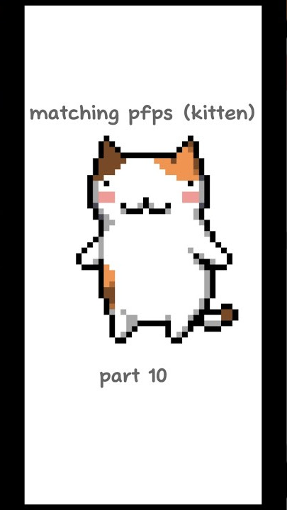 Matching Pfp Cat Images - Matching Pfp Cat Aesthetic Matching Pfp