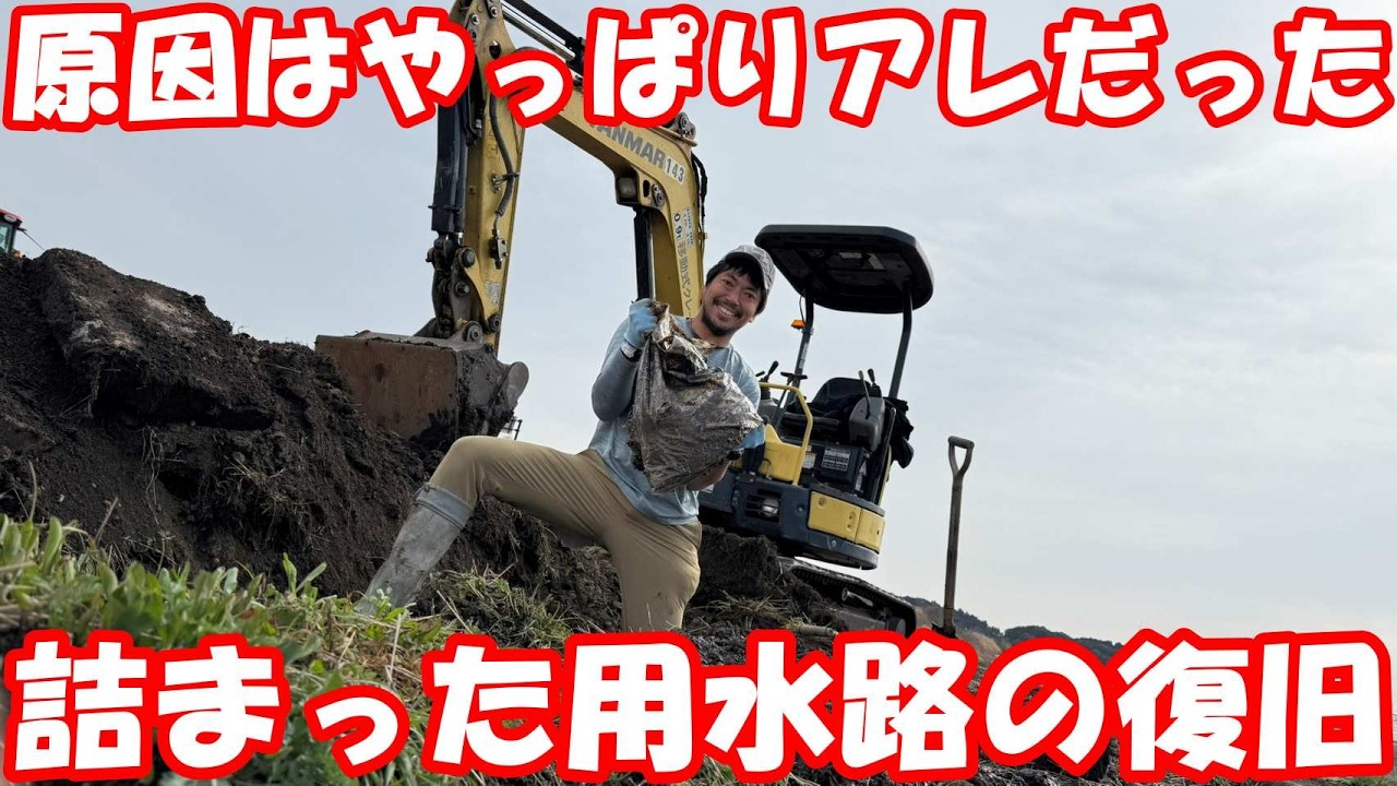 出入り口のフタ下で詰まった用水路を復旧する。