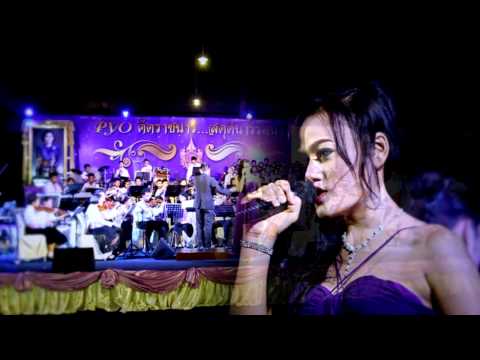 เพลงColor of The Wind โดยวงPYOโรงเรียนพลวิทยา