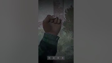 Worst Bug in 1.21 in DayZ