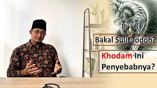 Fakta Punya Khodam Macan Putih Menjadi Sulit Jodoh