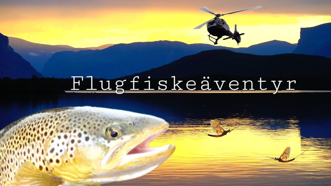 Flugfiske-äventyr i Öring & Rödingarnas Dal