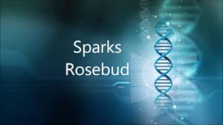 Sparks - Rosebud - Remastered Razormaid Promotional Remix