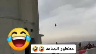 تحشيش عراقي عافو المظاهرات وركضو ورة الطير ????