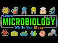 Microbiology for Sleep: Learn The Invisible World | Test & Exam Reviewer