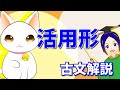 古文テスト対策【活用形】解説｜万葉授業〈文法編-1〉