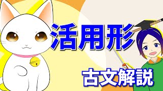 古文テスト対策【活用形】解説｜万葉授業〈文法編-1〉