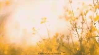 Tim Buckley - Wings chords