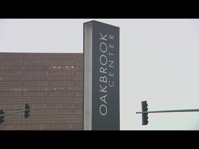 Thieves steal thousands of dollars worth of merchandise from Burberry in Oakbrook  Center