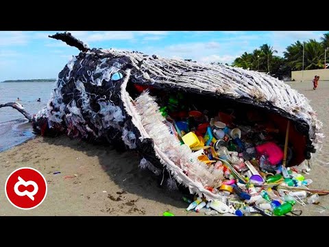 Video: Bintang Yang Tidak Boleh Menghadapi Plastik