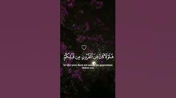 سورة هود/الآية 115_119/ قرآن الكريم القارئ إسلام صبحي