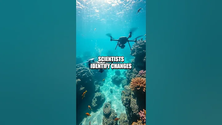 AI's Role in Marine Conservation