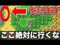 とんでもない初見殺し【ドラクエ6 実況002】