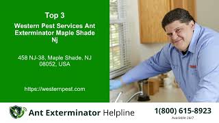 Top 3 Ant Exterminator Helpline in Moorestown-Lenola