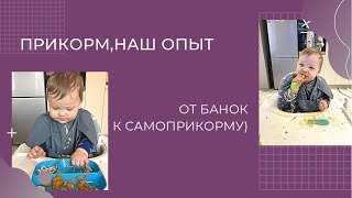 Первый прикорм! С чего начать? Банки или самоприкорм?НАШ ОПЫТ