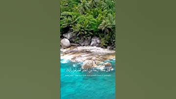 تلاوة هادئة لآيات من القرآن الكريم #تلاوة_خاشعة #قران_كريم #القرآن الكريم راحة نفسية #المصحف