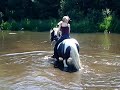 swimming with horse / zwemmen met paard