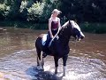 swimming with horse / zwemmen met paard