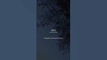 تلاوة القرآن | بصوت الشيخ ماهر المعيقلي | #quran #islamicvideo #sheikhmaheralmuaiqly