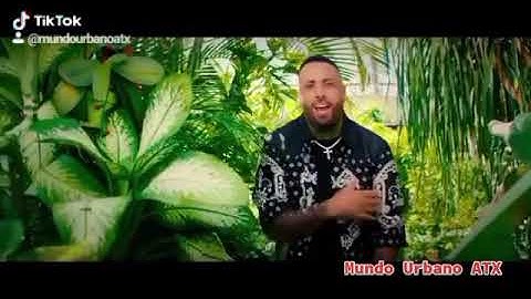 Uchi Wala Nicky Jam Akon 2020