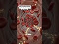 Every night, your brain cleans itself, your cells repair damage..