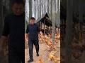 Why Our Free-Range Chickens Follow Us Everywhere | Daily Farm Life.