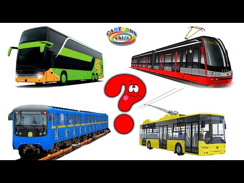 Изучаем транспорт. Логика про машинки для самых маленьких