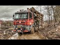 Sbírání & Vyvážení Dřeva z Lesa | TATRA PHOENIX 8X8