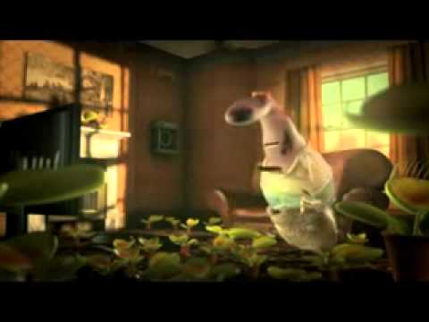 Annoying Fly