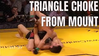 MMA MOUNTED TRIANGLE - DANNY MITCHELL VS CRAIG FORD - ULTIMATE FORCE MMA