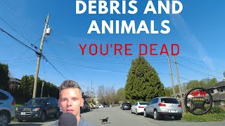 Debris, Objects and Animals [BURNABY B.C]