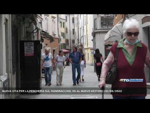 NUOVA VITA PER LA PESCHERIA SUL MANDRACCHIO: OK AL NUOVO GESTORE | 01/09/2022