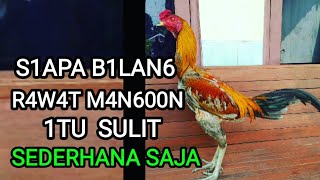 Cara Yang Benar Merawat Jenis Mangon