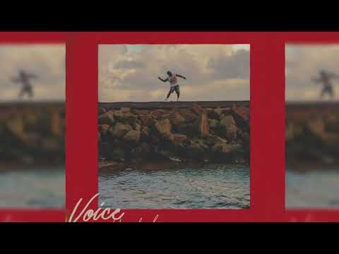 Voice – This Feeling Master (Soca 2026 | Official Audio)