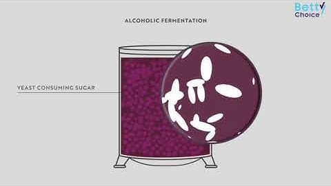 VIDEO BẢO VỆ ASM MÔN CÔNG CỤ TIÊN ÍCH DOM104 CỦA NHÓM 1 LỚP DM18404 - FPT POLYTECHNIC