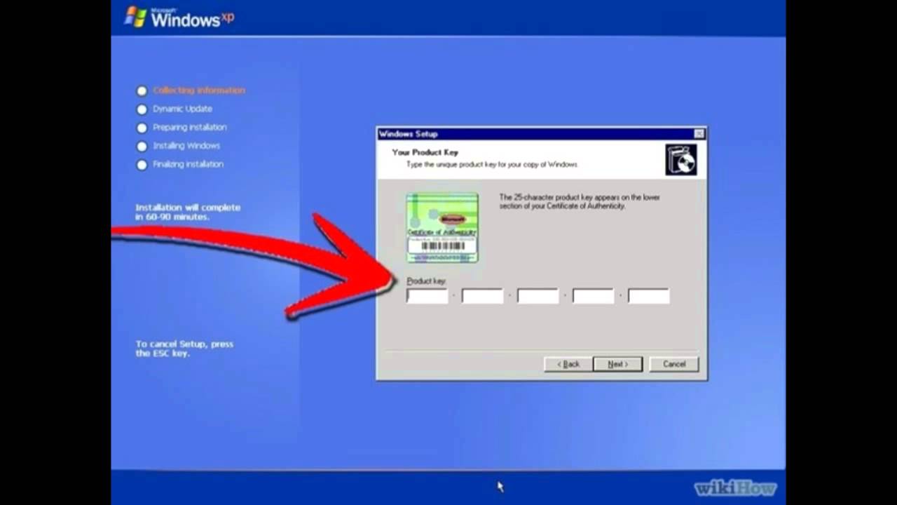 Windows dynamic. Windows XP ключ. Ключ продукта Windows XP. Windows XP product Key. Windows XP ключ Eng.