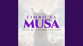 Mbingu Zinashangilia