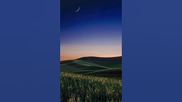 سورة الشورى #quran #ياسر_الدوسري