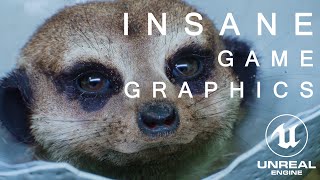 MEERKAT in the FOREST (INSANE NEXT-GEN GAME GRAPHICS)  | Unreal Engine 5 HD 4K 2022