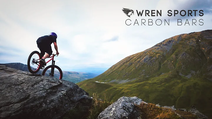 Wren Sports Carbon Handlebars. World-Class Carbon for only $99.00. - DayDayNews