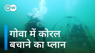 समुद्र के भीतर तैयार की जा रही कोरल की नर्सरी [Conserving marine biodiversity in Goa]