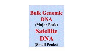 Satellite DNA, microsatellite and minisatellite , NCERT, NEET Net Worth