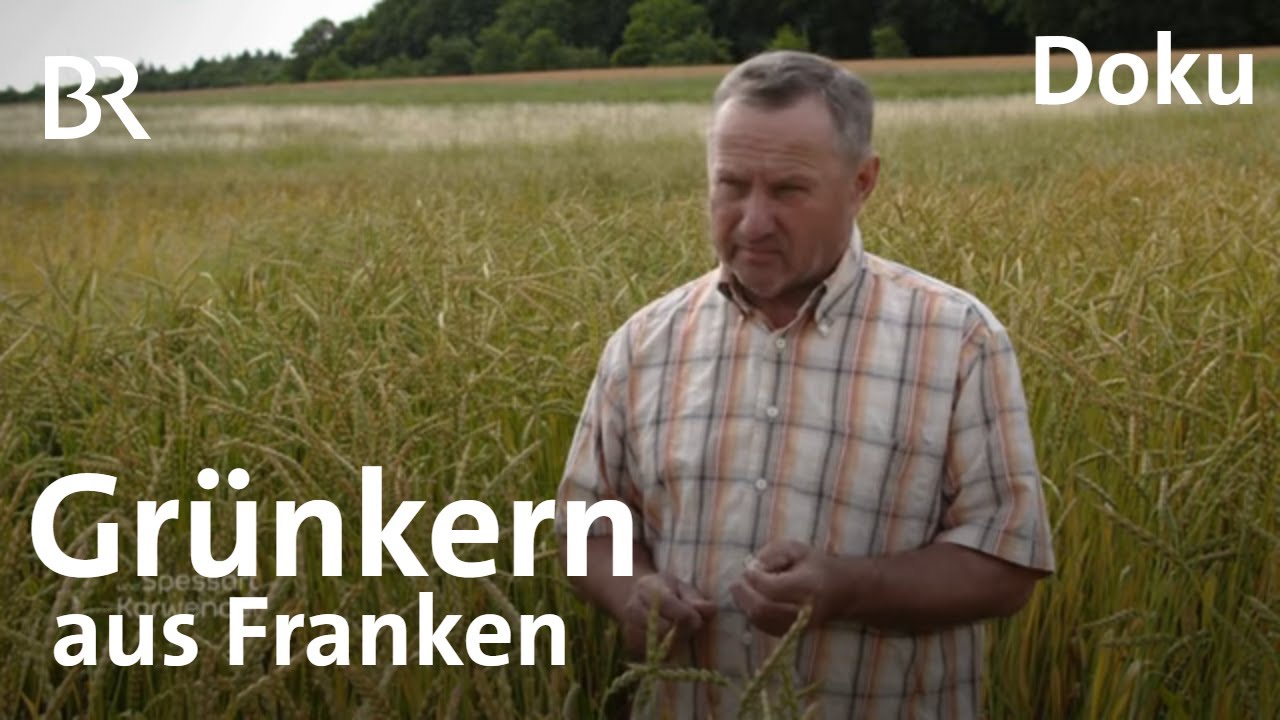 Fränkischer Grünkern: Viel Arbeit für Slow Food | Zwischen Spessart und Karwendel | BR