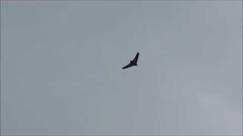 Drone mapping of a Land Slide