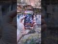 Pokémon Destined Rivals x Zion National Park - Emerald Pools Trail