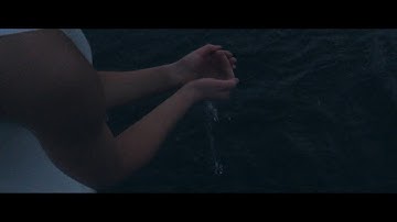 Dan Olsen - For You (Official Music Video)