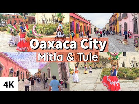 A Tour of OAXACA City / Mitla & Tule / Mexico Travel 2023