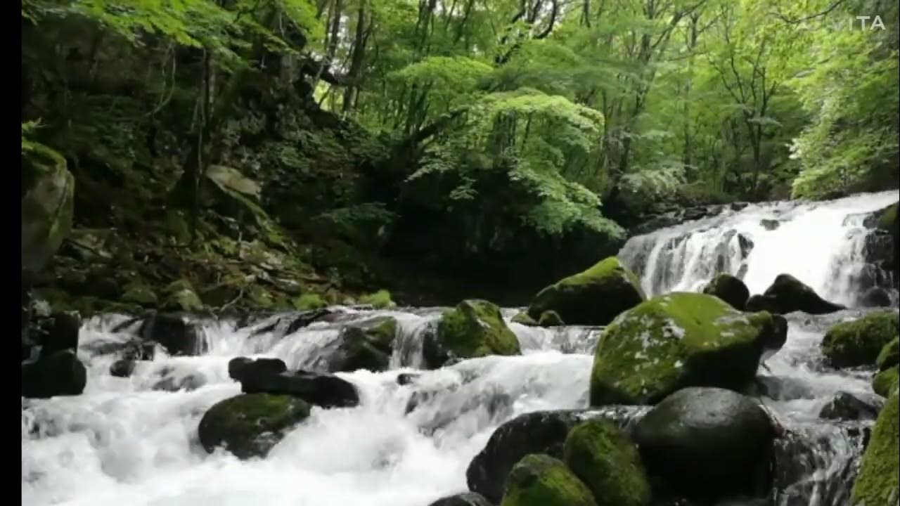 ジブリみたいの川自然川音nature sounds YouTube